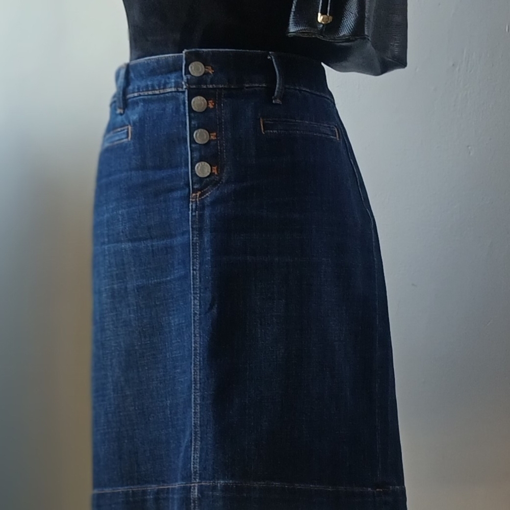 Button Front Denim Skirt
